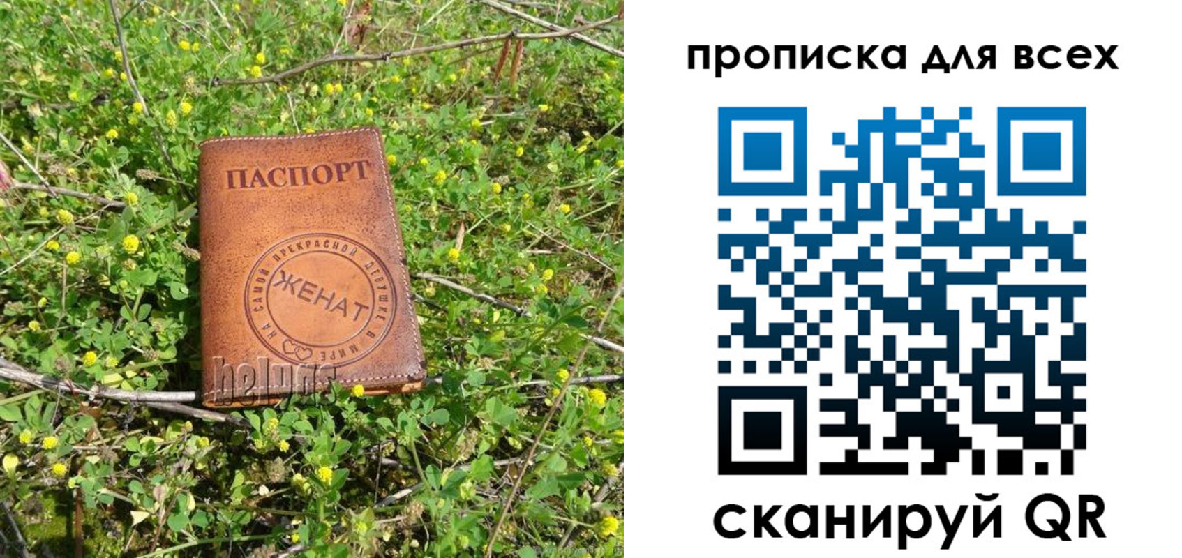 прописка поиск в Болхове